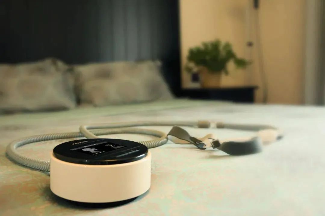 廣州大麥 廣州大麥