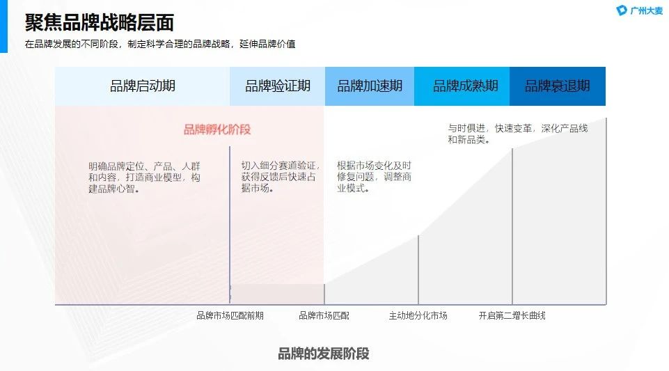 廣州大麥電商 廣州大麥電商