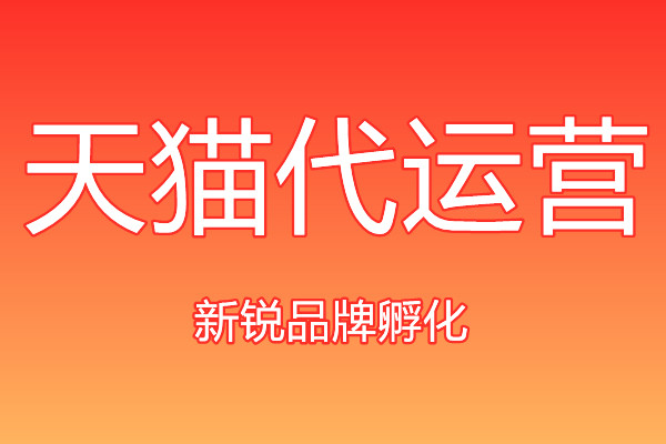 天貓代運營